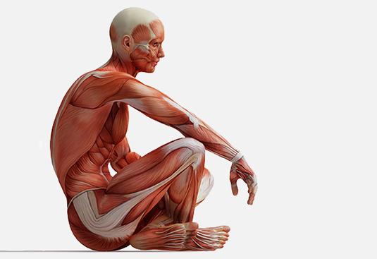 Physiotherapie